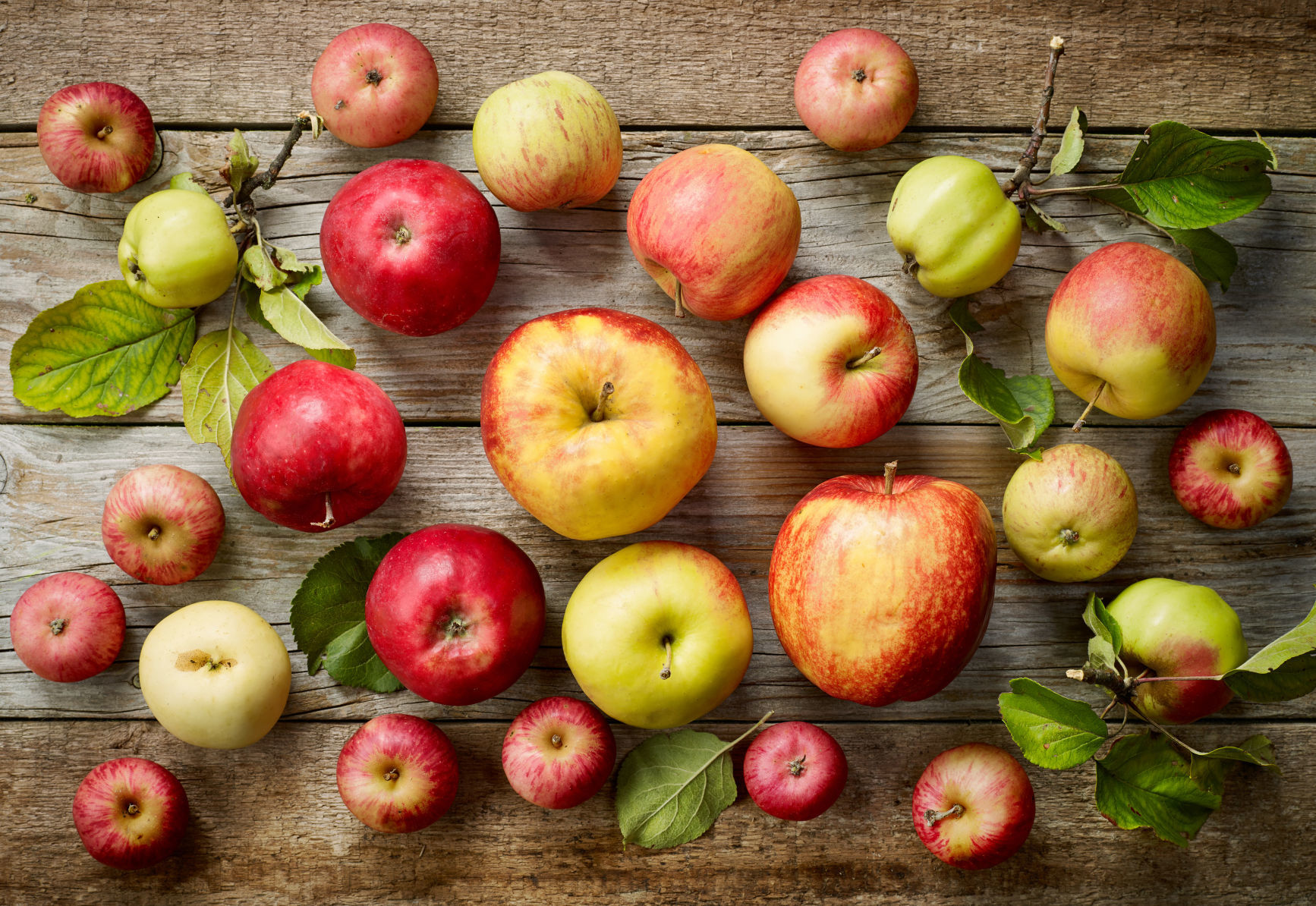 Apples